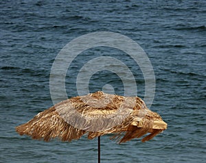 Grass Beach Umbrella at seashore