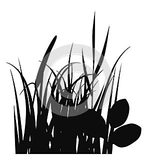 Grass blades black silhouette. Lawn patch element