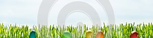 Grass blades and easter eggs in front of blue sky, header