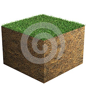 Grass Block