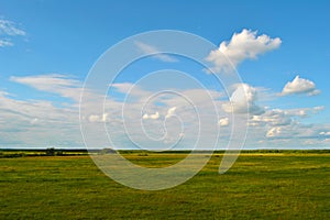 Grass and blue sky landscape