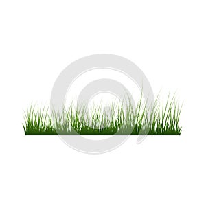 Grass Border