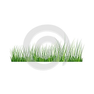 Grass Border