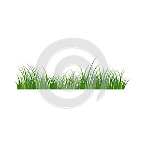 Grass Border