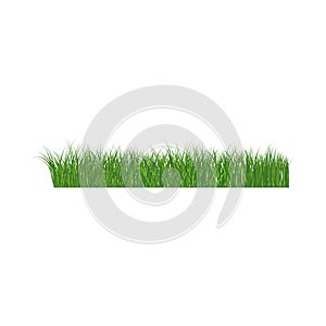 Grass Border