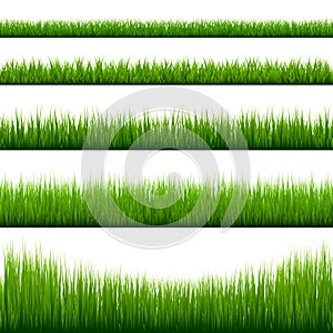 Grass borders collection. Green meadow nature background. Easter card design element. Vector illustration.