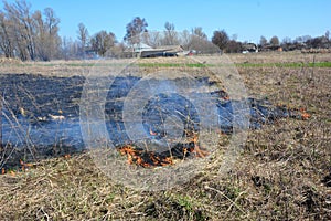 Grass burning near village houses. Burning grass releases more nitrogen pollution than burning wood