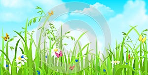 Grass, butterfly, flower and clouds sky vector flat background