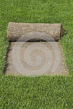 Grass Carpet Reel