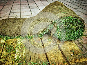 Grass Carpet Roll