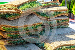 Grass Carpet Rolls Peeled from Soil in residential development. Flats of sod rolls