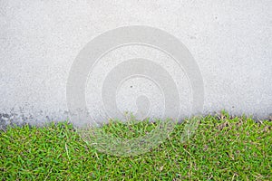 Grass with cement