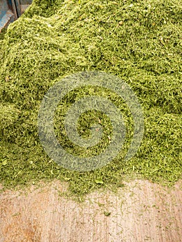 Grass Clippings