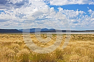 Grass and clouds, Eagle Lake, California