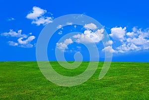 Grass and cloudy sky