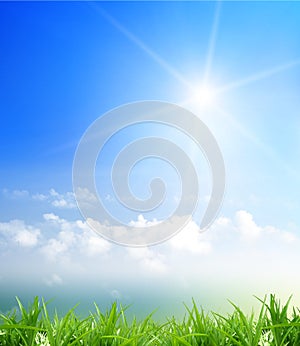 Grass and cloudy sky