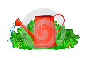 Grass, clover and watering can isolated on white background. Watering pot stand on grass bush. Seasonal garden equipment concept.