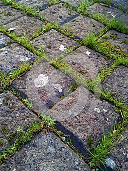 Grass Between Cobbles - Diamond