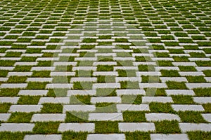 Grass and cobblestone pavement , checkered floor