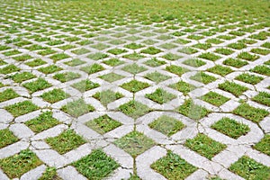 Grass and cobblestone walk way in a urban park. Vanishing point