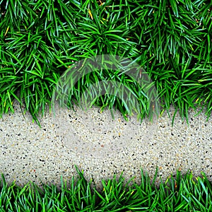 Grass and concrete background.