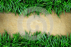 Grass and concrete background.