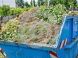 Grass Container in the garden