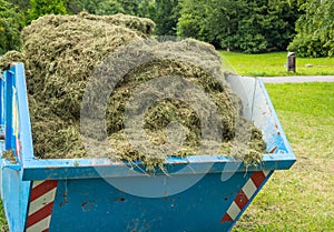 Grass Container in the Park