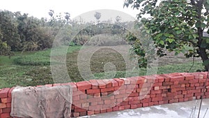 Grass cover pond in India