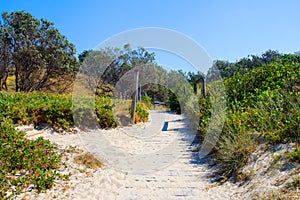 Grass covered beach dune on seashore at Valla Beach Australia