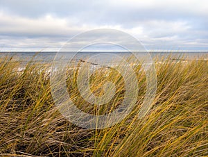 a grass-covered dune with water in the background