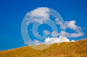 Grass covered hill with blue sky