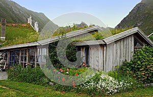 Grass covered norwegian house