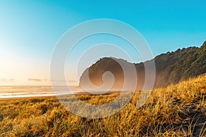 Grass covered sand dunes