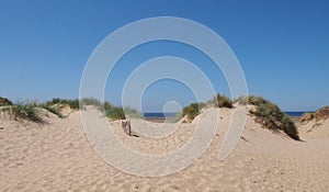 Grass and sand dunes with a small wooden fence against a blue summer sky in formby on the merseyside coast