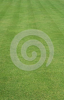 Grass cut with stripes