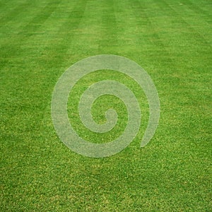 Grass cut with stripes