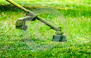 Grass cutting in the garden