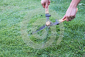 Grass cutting scissors on the grassy background