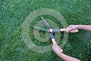 Grass cutting scissors on the grassy background