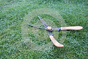 Grass cutting scissors on the grassy background