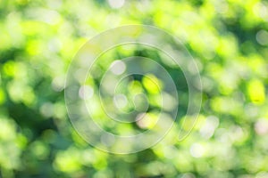 grass defocused background