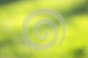 grass defocused background