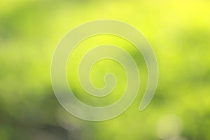 grass defocused background