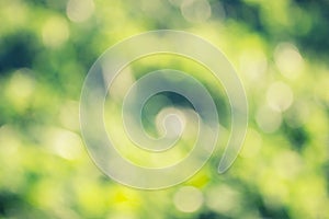 grass defocused background