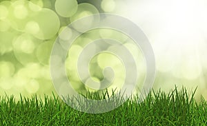 Grass on a defocussed green background