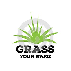 Grass design logo template. green grass illustration vector