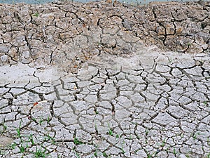 The grass and dried cracked earth. Because of no rain and drought season., Arid ground , Dry grounds