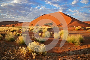 Grass, dune and sky, Sossusvlei, Namibia photo