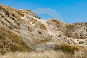 Grass and Dunes